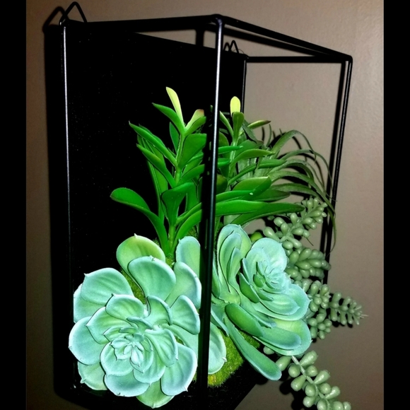 Succulent Floating Cube Shelf Wall Decor - Picture 6 of 8